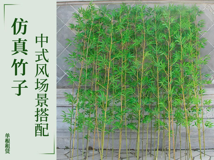 (单根)仿真竹子室内装饰假竹子隔断屏风挡墙造景室外装饰竹盆栽加密绿植-图一